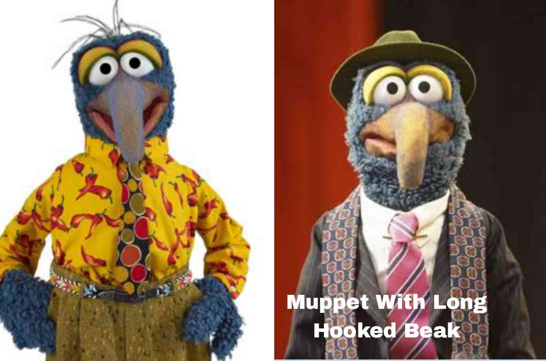 Muppet with Long Hooked Beak